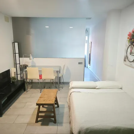 Apartament Olof *